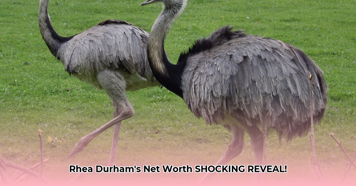 rhea-durham-net-worth